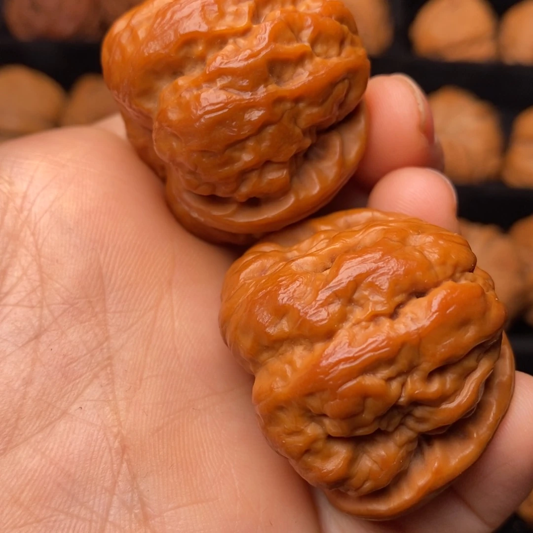 文玩核桃把件秦岭野生核桃