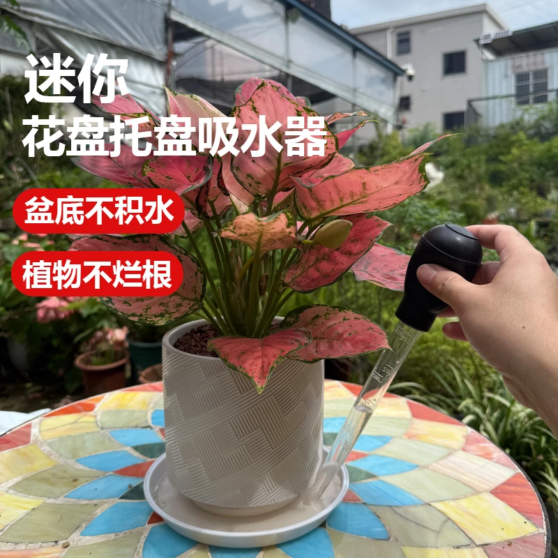 花盆托盘吸水器神器底座积水处理大吸管便携抽换水大滴管园艺工具