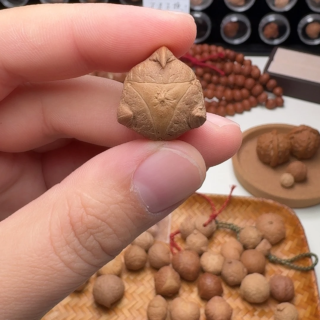 吊坠凤眼菩提龙爪三通