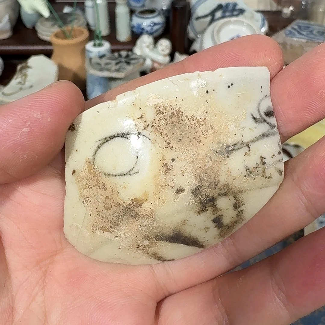 瓷片Y青花瓷片标本，顺丰包邮