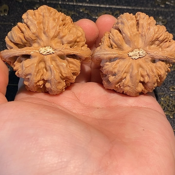 核桃手串/手链45 粗筋