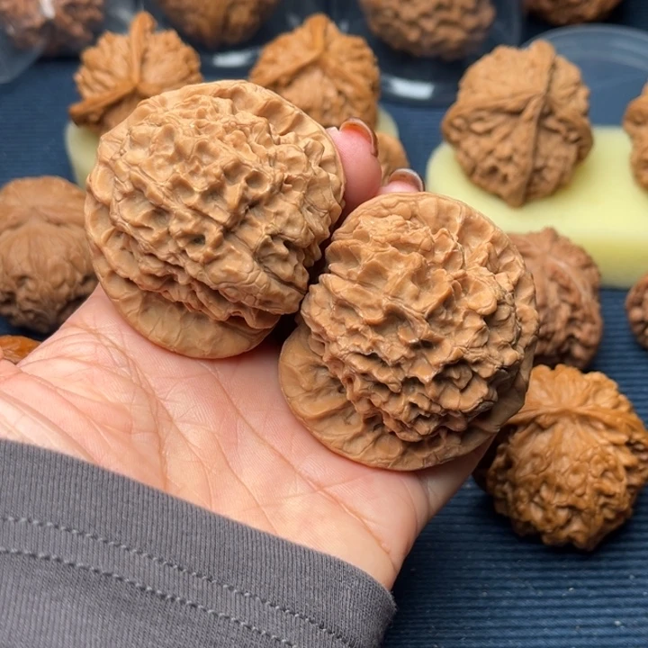 文玩核桃吊坠52龙鼎全品