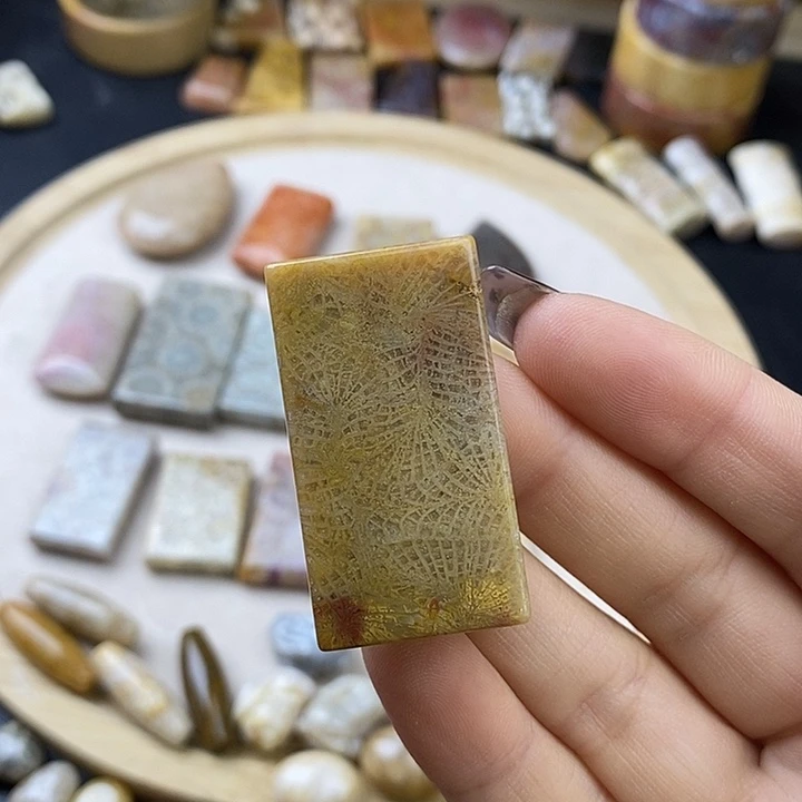 硅化玉未镶嵌颈饰11