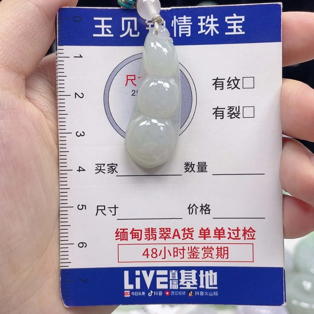 翡翠未镶嵌颈饰福豆