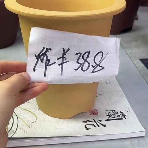 紫砂55255535757552575855