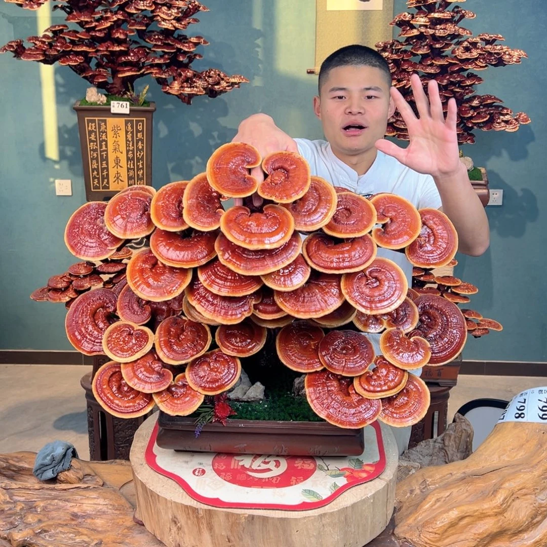 无花朵88988899999