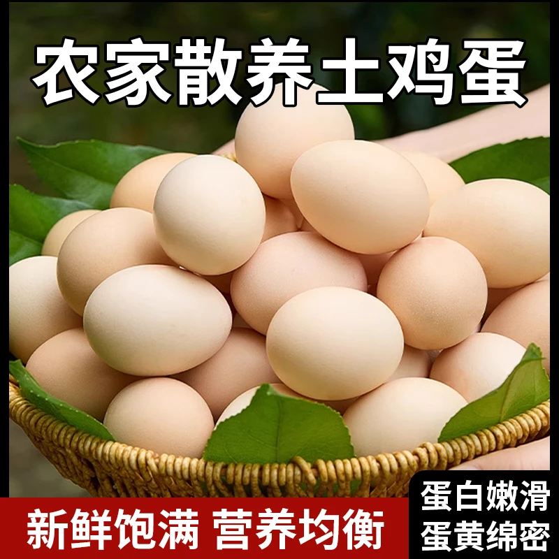 50枚正宗农家散养土鸡蛋新鲜现捡现发  农家散养鸡蛋，现货先发