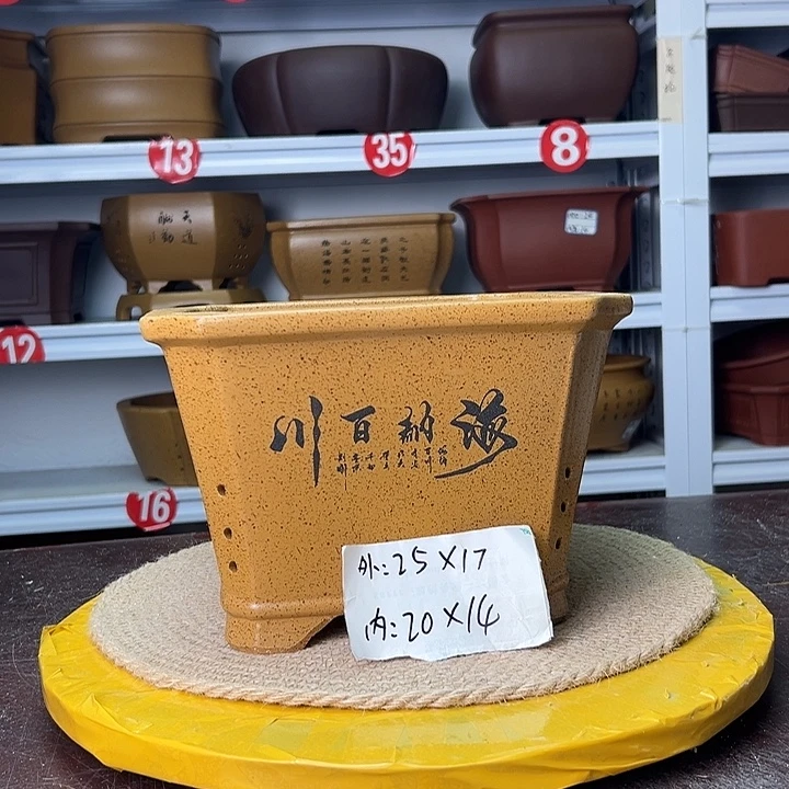 花盆紫砂蛇年大吉