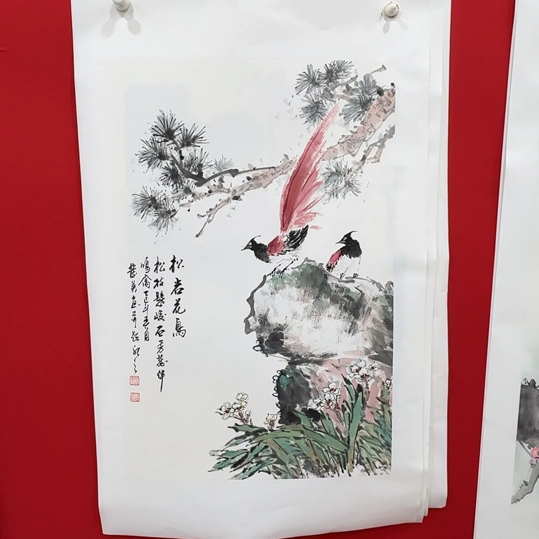 国画新号开播福利多多