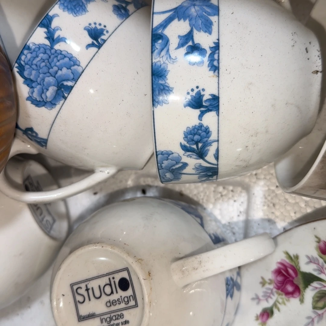秋***叶茶盏在这个充满生机又神秘美丽色彩中