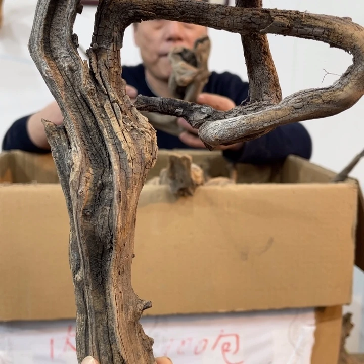 至****天我们都是好孩子呀