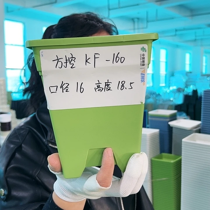 正品方盆口16高18果绿无托5只