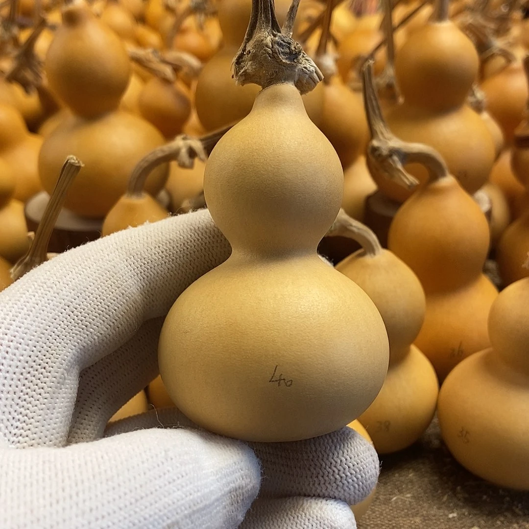 文玩葫芦 完美主义者 慎拍40