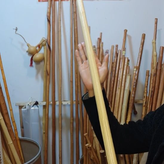 睿***里秦岭石山红荀子，牛筋木