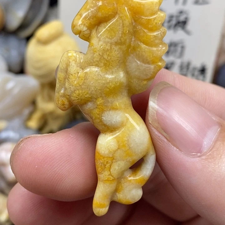 硅化珊瑚（珊瑚玉）未镶嵌颈饰