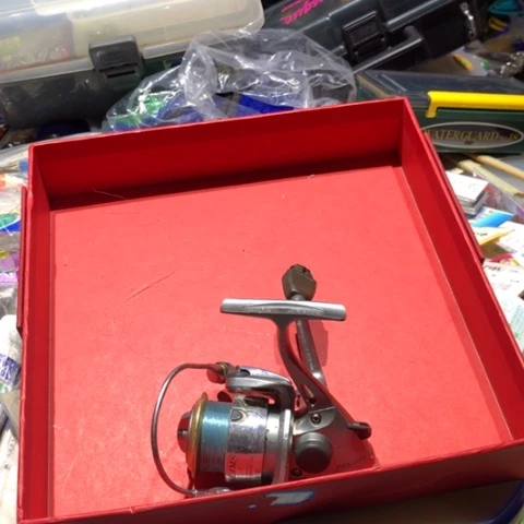 达瓦纺车轮开始拍