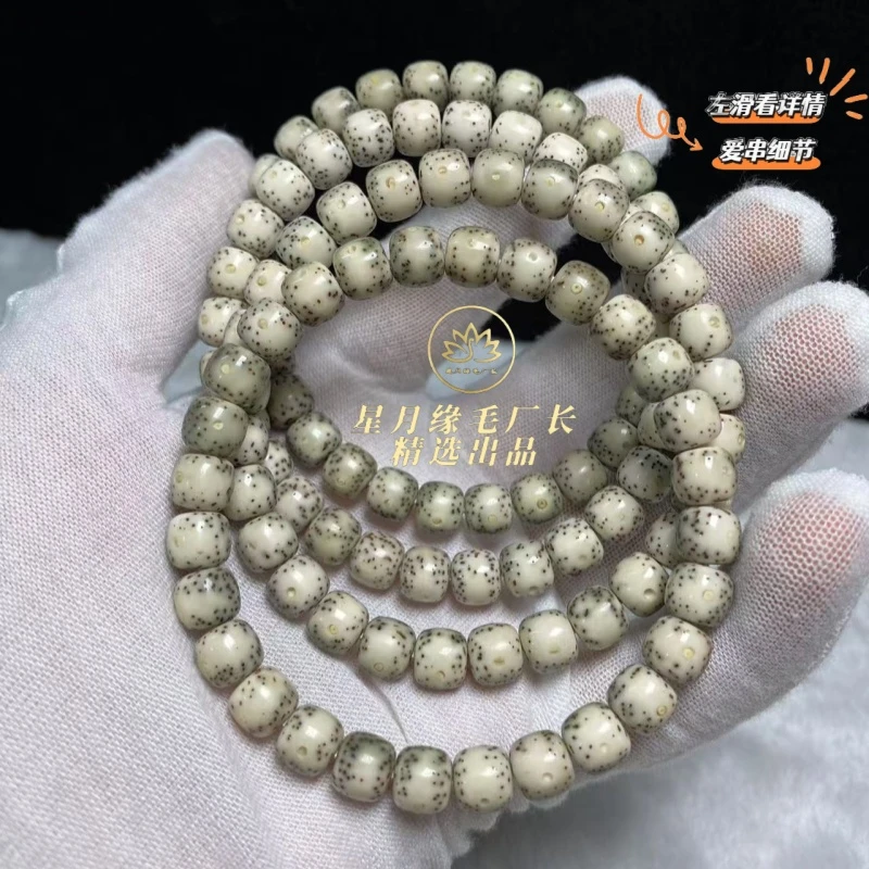 C14原生态星月菩提润透卡姿兰眼睛8*7mm文玩好物【多样性发货】