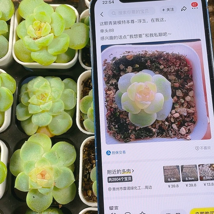 浮玉 单头盆一个满25包邮