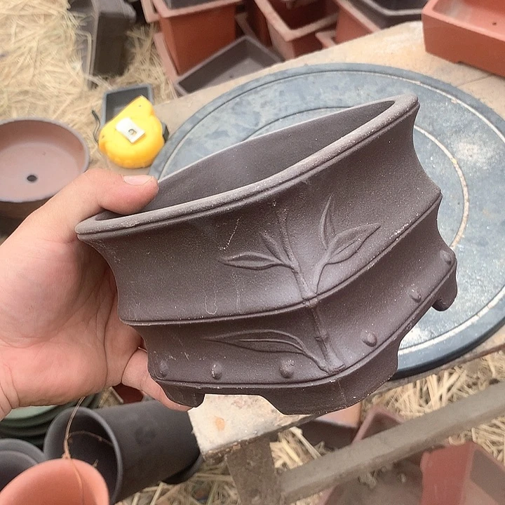 紫砂没有那么重要的人在我们