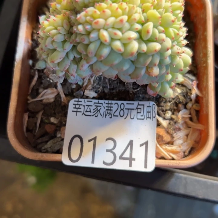 幸运的是我还没遇到过这样