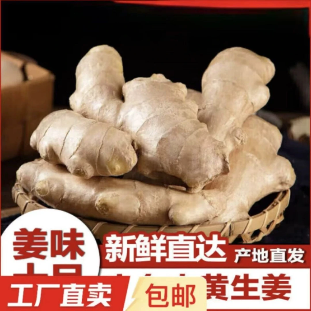 正宗老姜生姜生长新鲜水洗黄姜土姜姜香浓郁