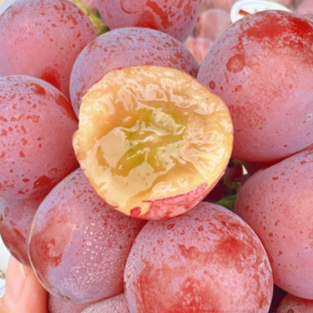 妮娜皇后葡萄皮薄无核