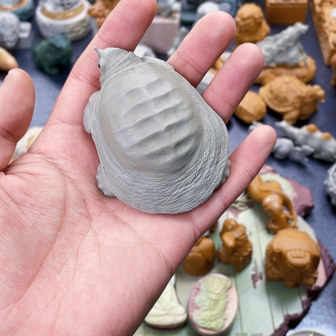 用****6甲鱼富甲天下茶宠