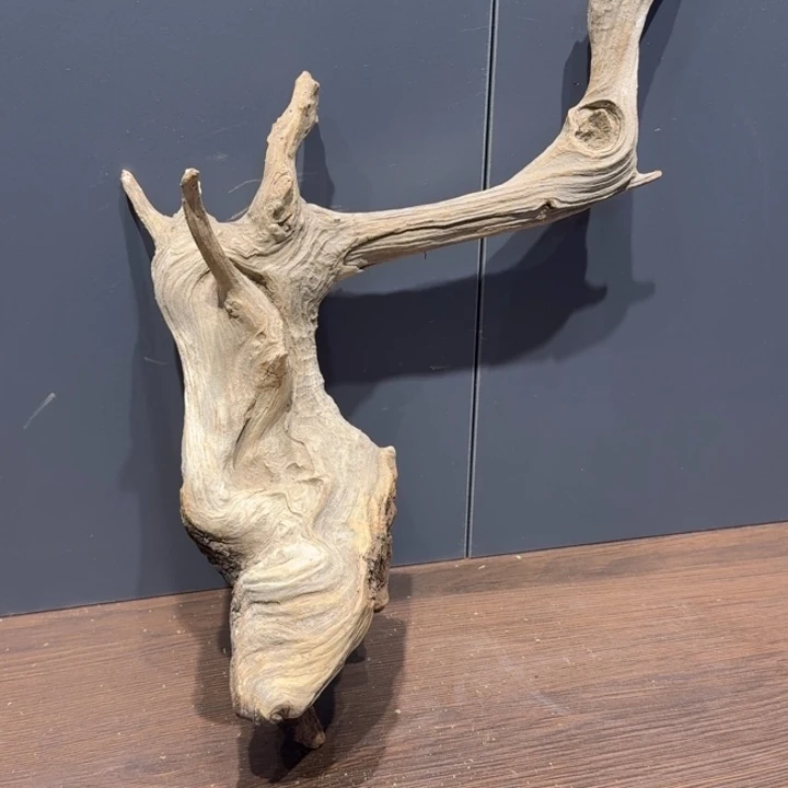 今***天柏木（崖柏）是手机时记得记得记得记得多久