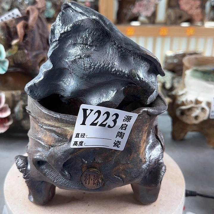 紫砂花盆景德镇陶瓷多肉223