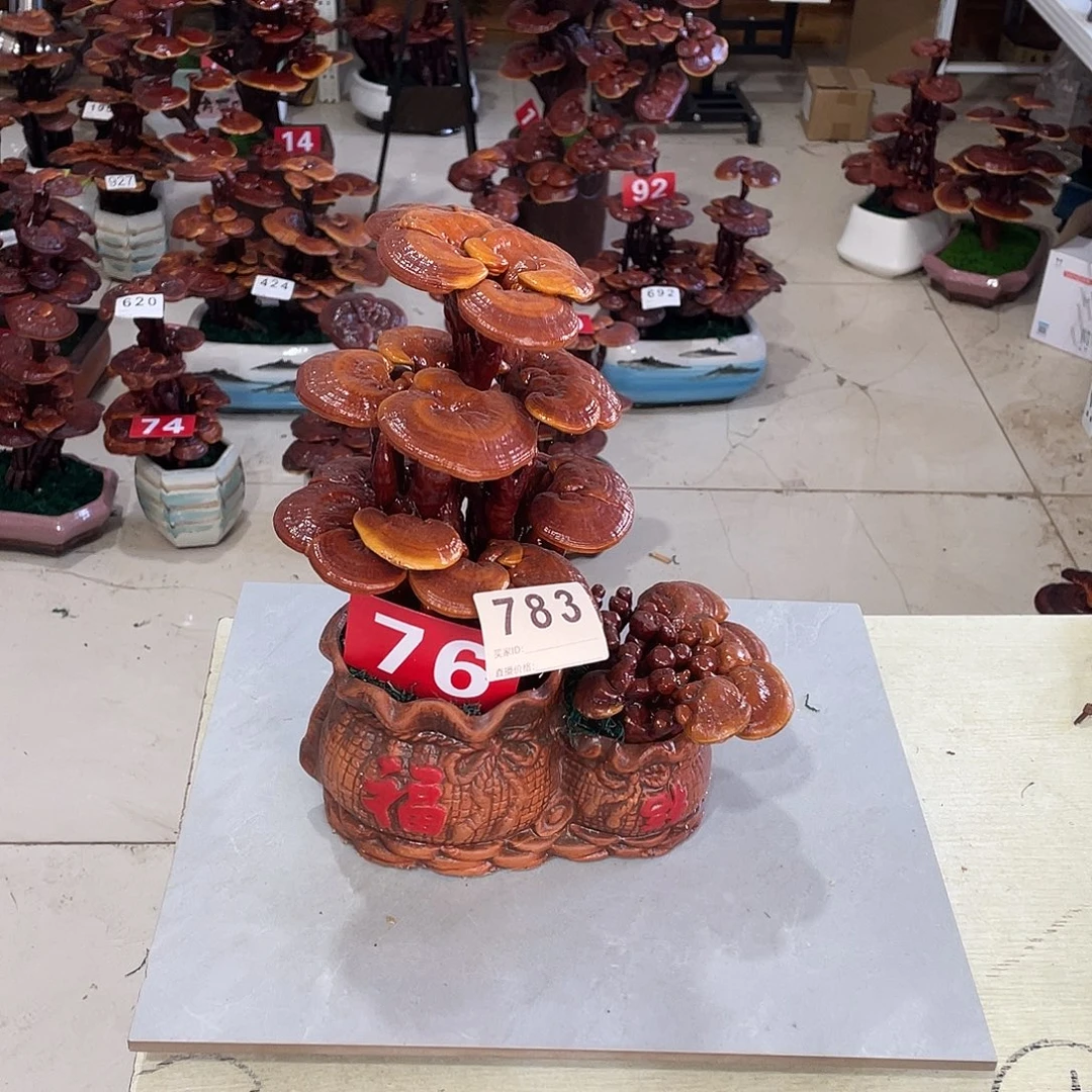 无花朵88888888888888888