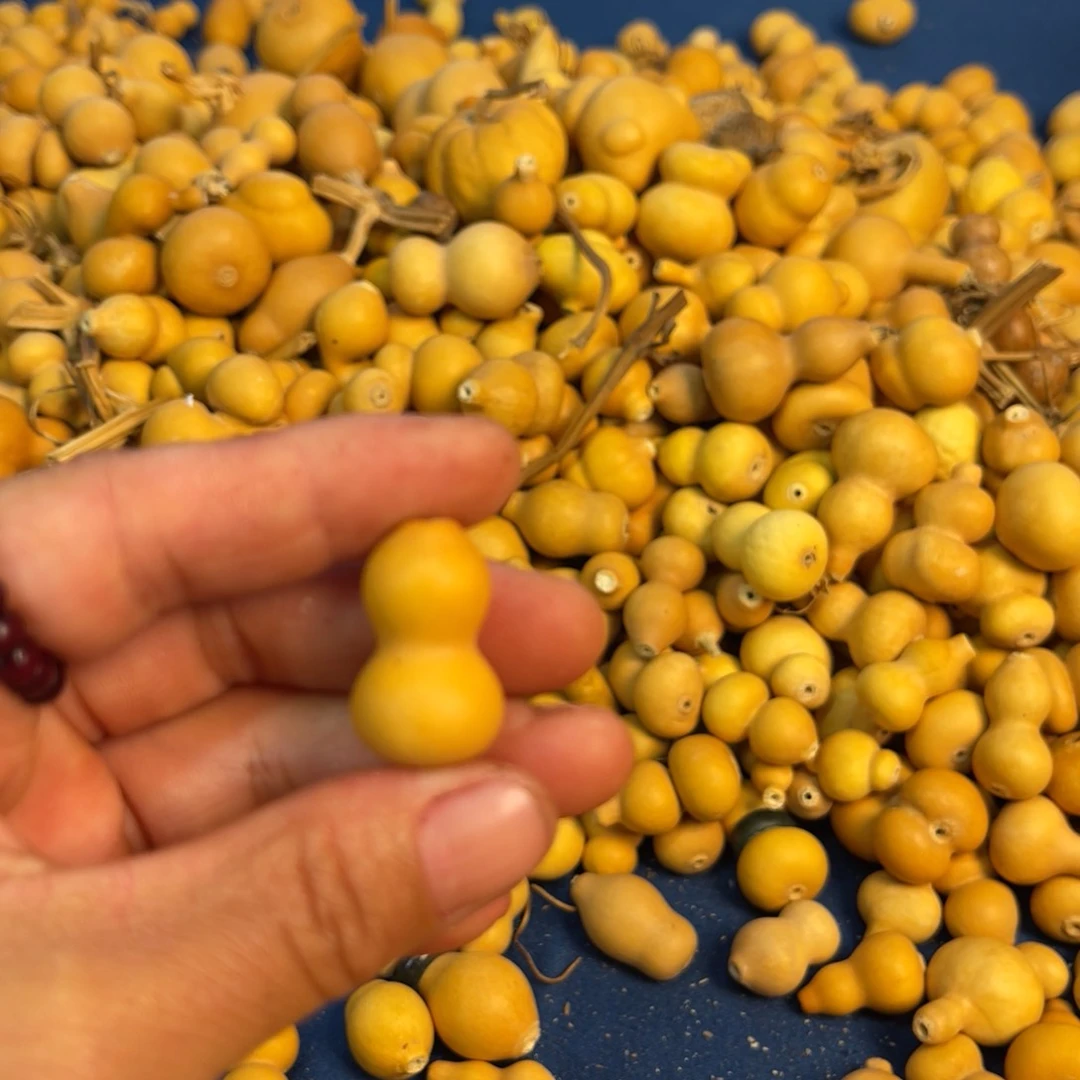 云*裳葫芦葫芦就葫芦葫芦了