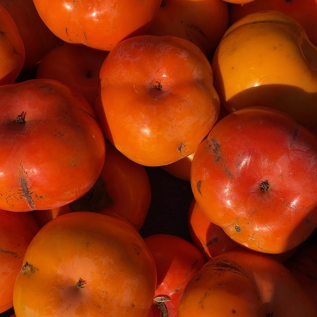 中国大陆柿子十斤含箱赶集