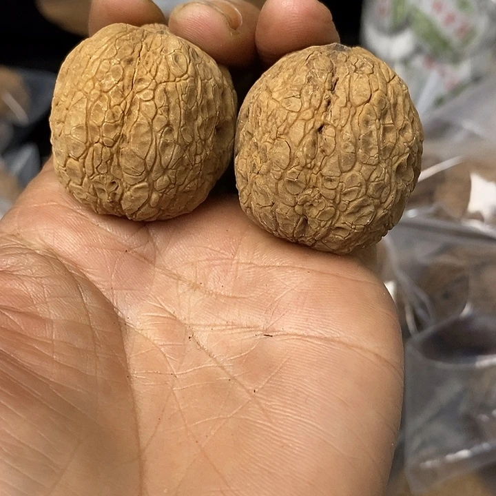 核桃云南铁核桃基地106