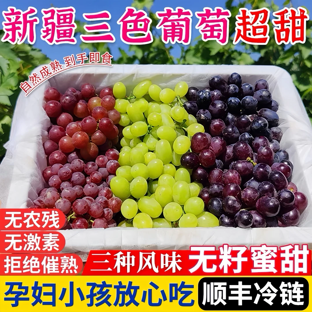 新疆吐鲁番三色葡萄脆甜多汁应季新鲜水果无核白无核紫玻璃脆