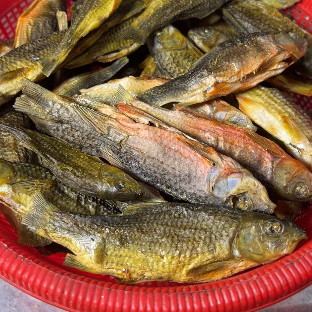 中国大陆中大红腹石斑鱼干1斤