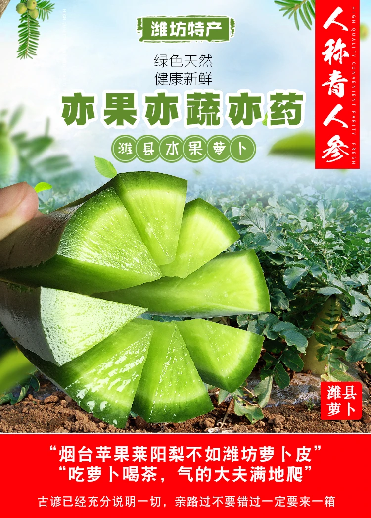 山东潍坊新鲜青萝卜脆甜现拔现发沙窝萝卜