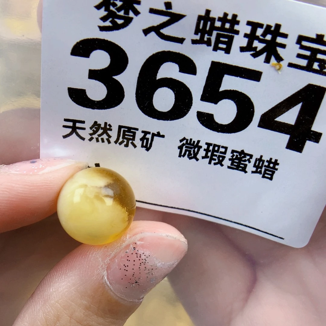 琥珀未镶嵌珠宝奇石12.7植物