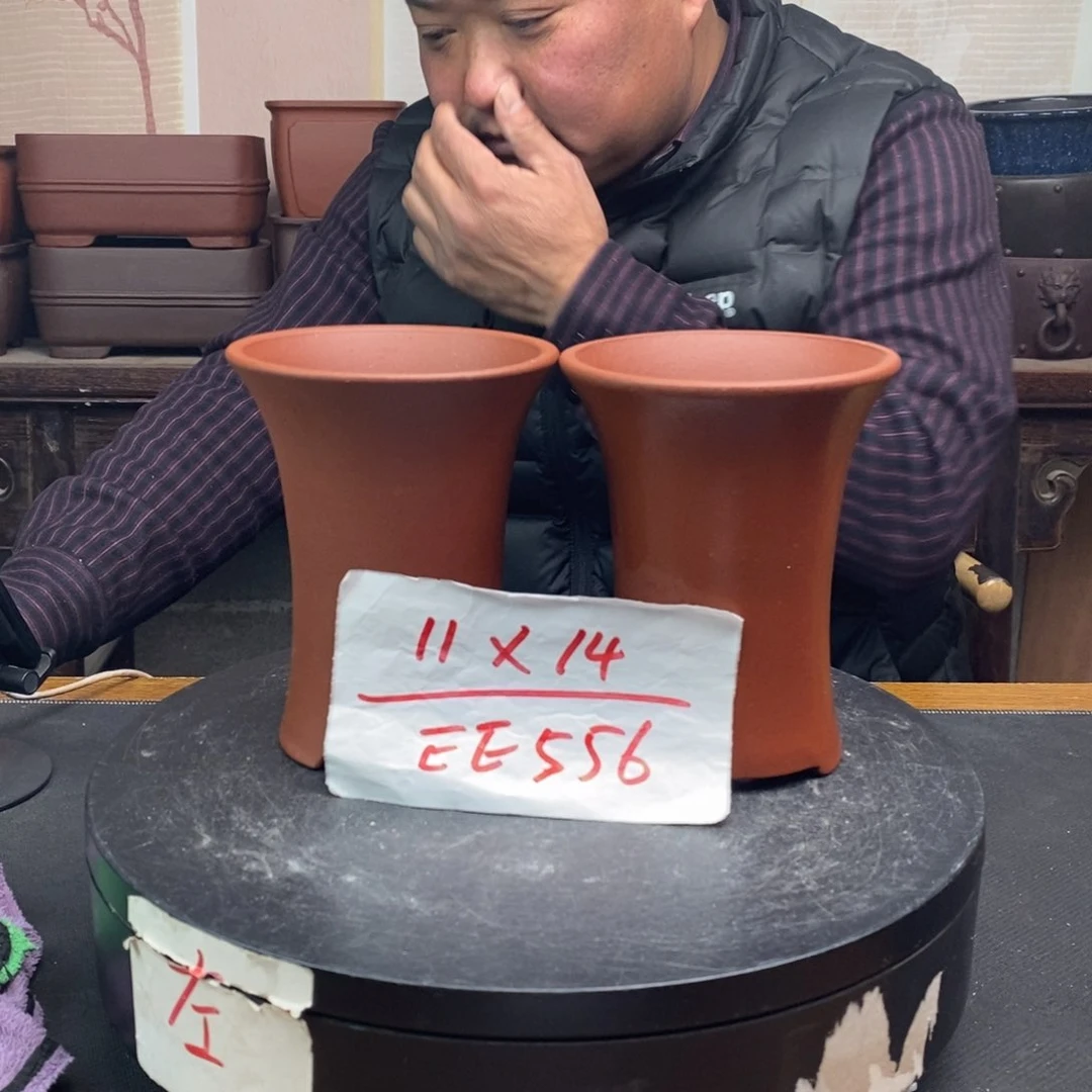 红陶货号一只EE556