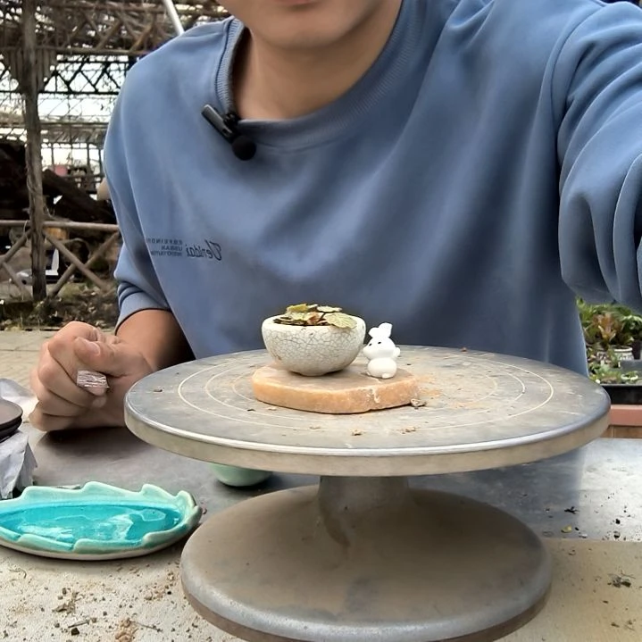 喜*小盆景小植物一物一拍112