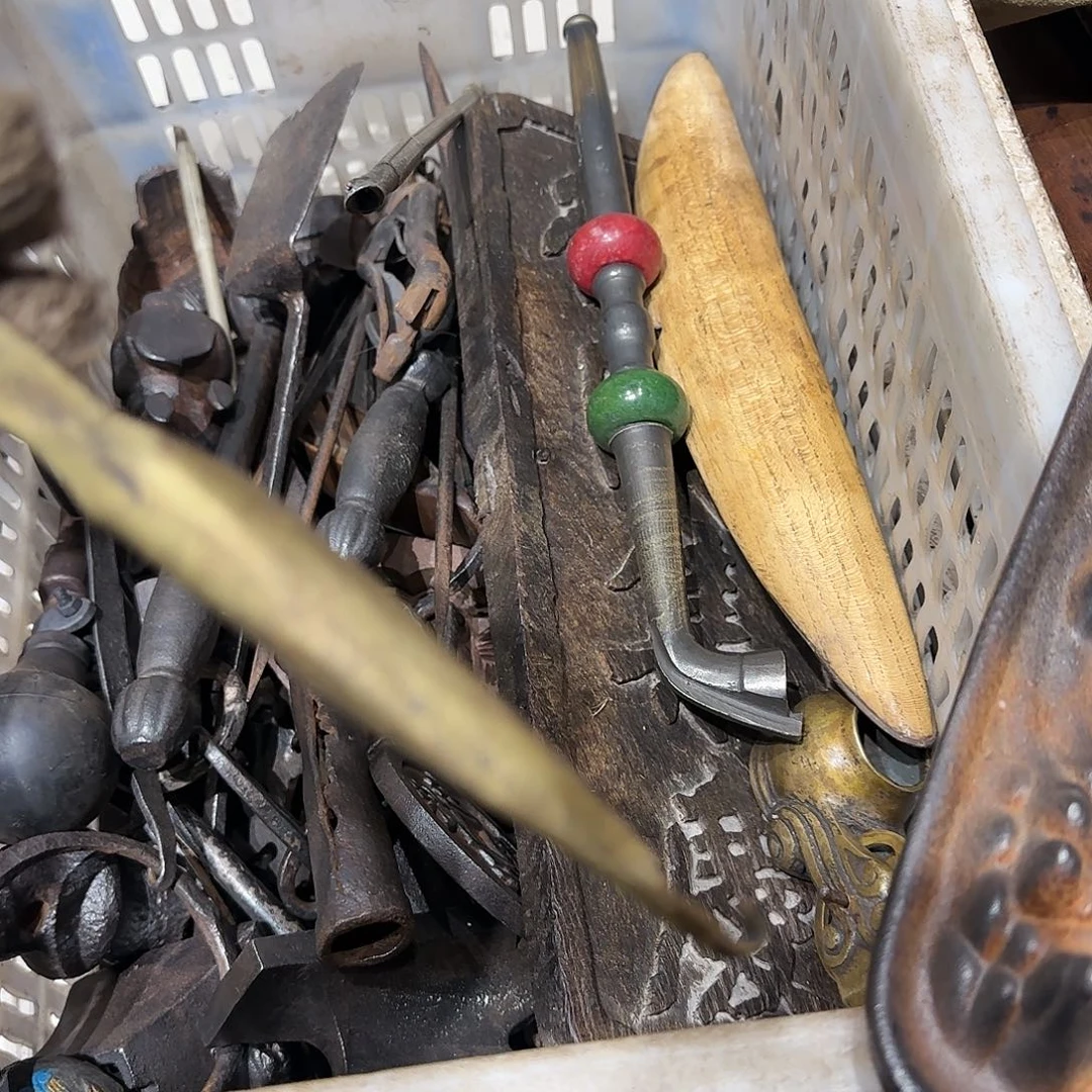 不***风一物一图看好在拍