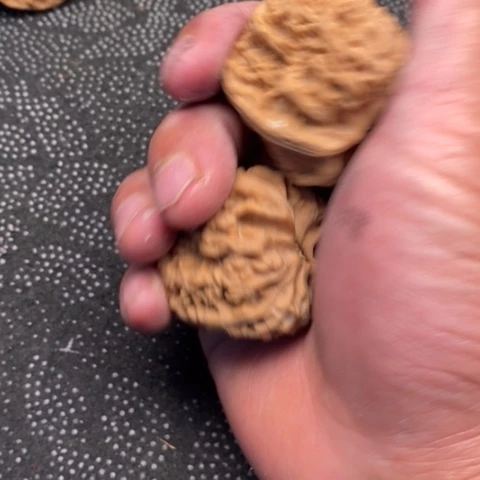 文玩核桃把件粗筋40