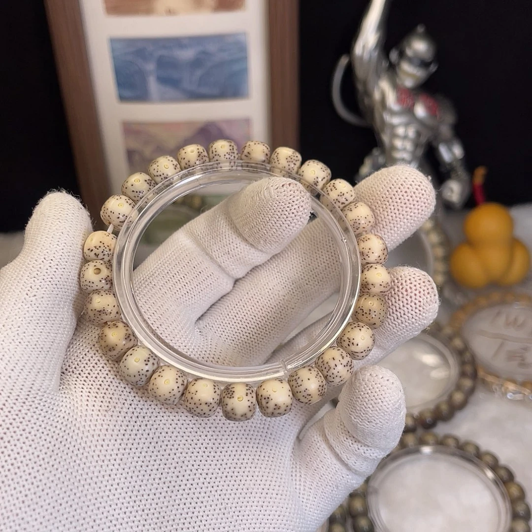 星月菩提手串763 号.   星月菩提. 一物一图.