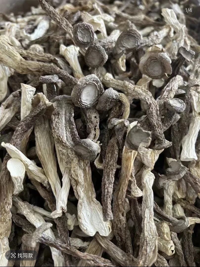 花姐干货推荐鹿茸茹