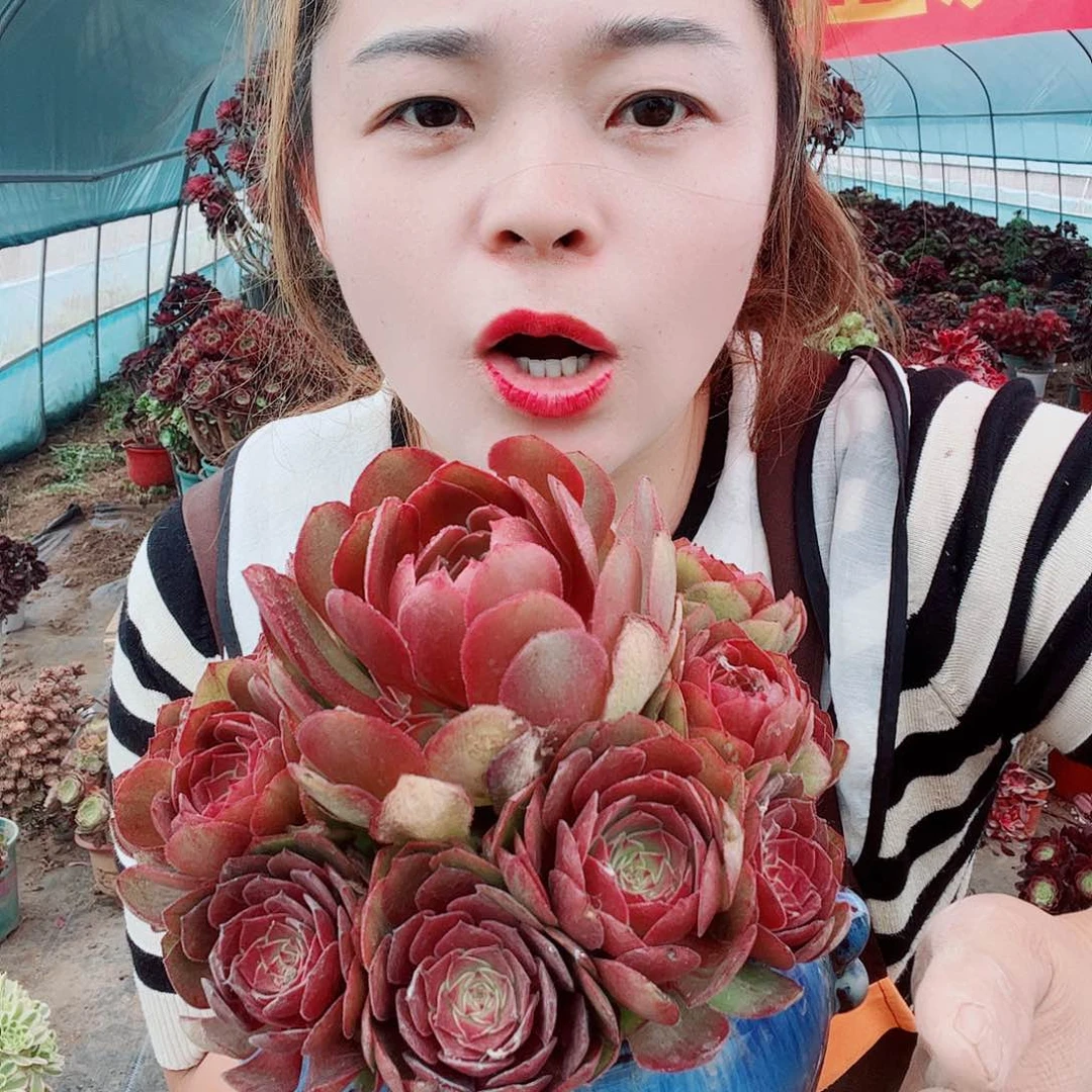 精品规划局健康知识服务uh