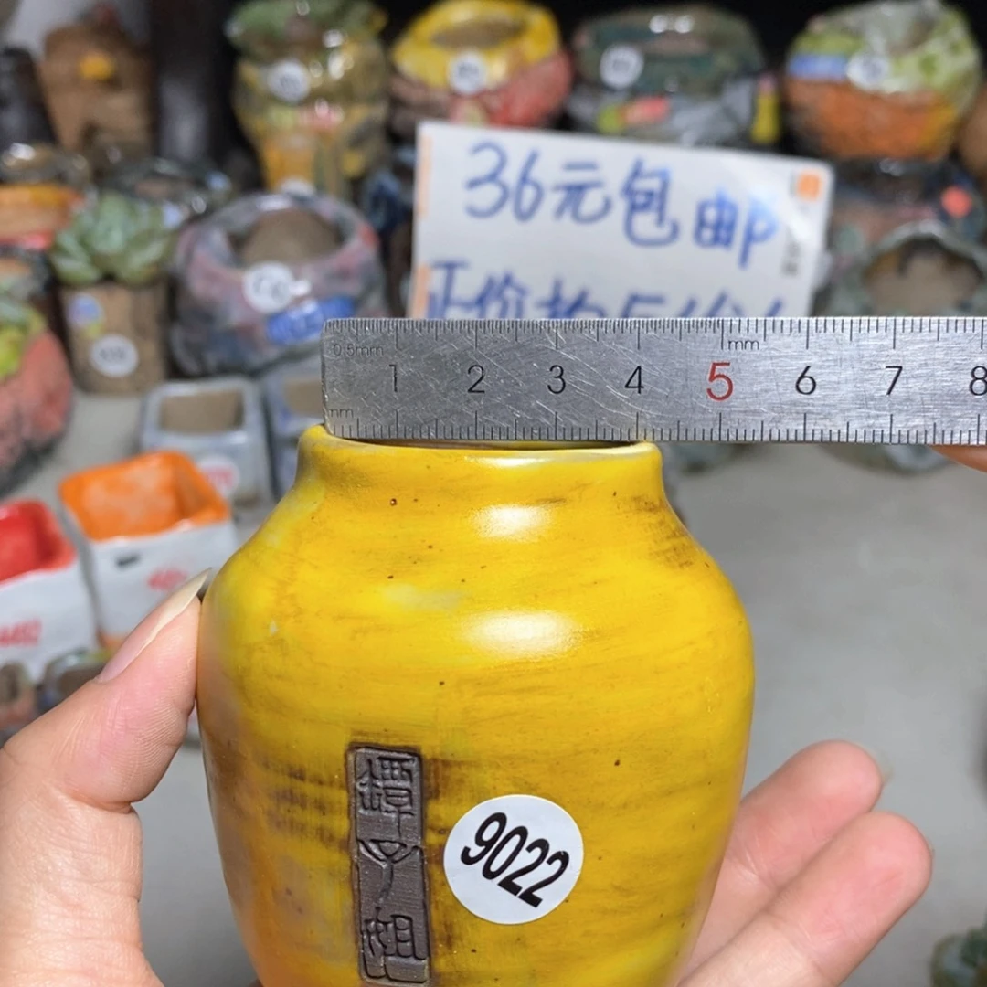 拍3送一个小礼物