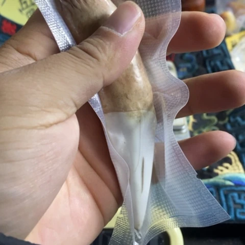 陶官方链接放心拍