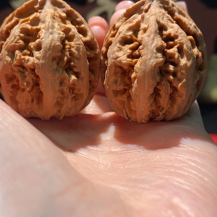 木质类聚核财婉楸16