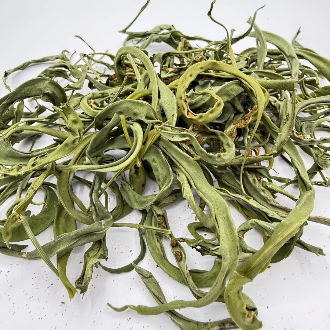 东北长白山  大哥的茶  嗷嗷叫精茶