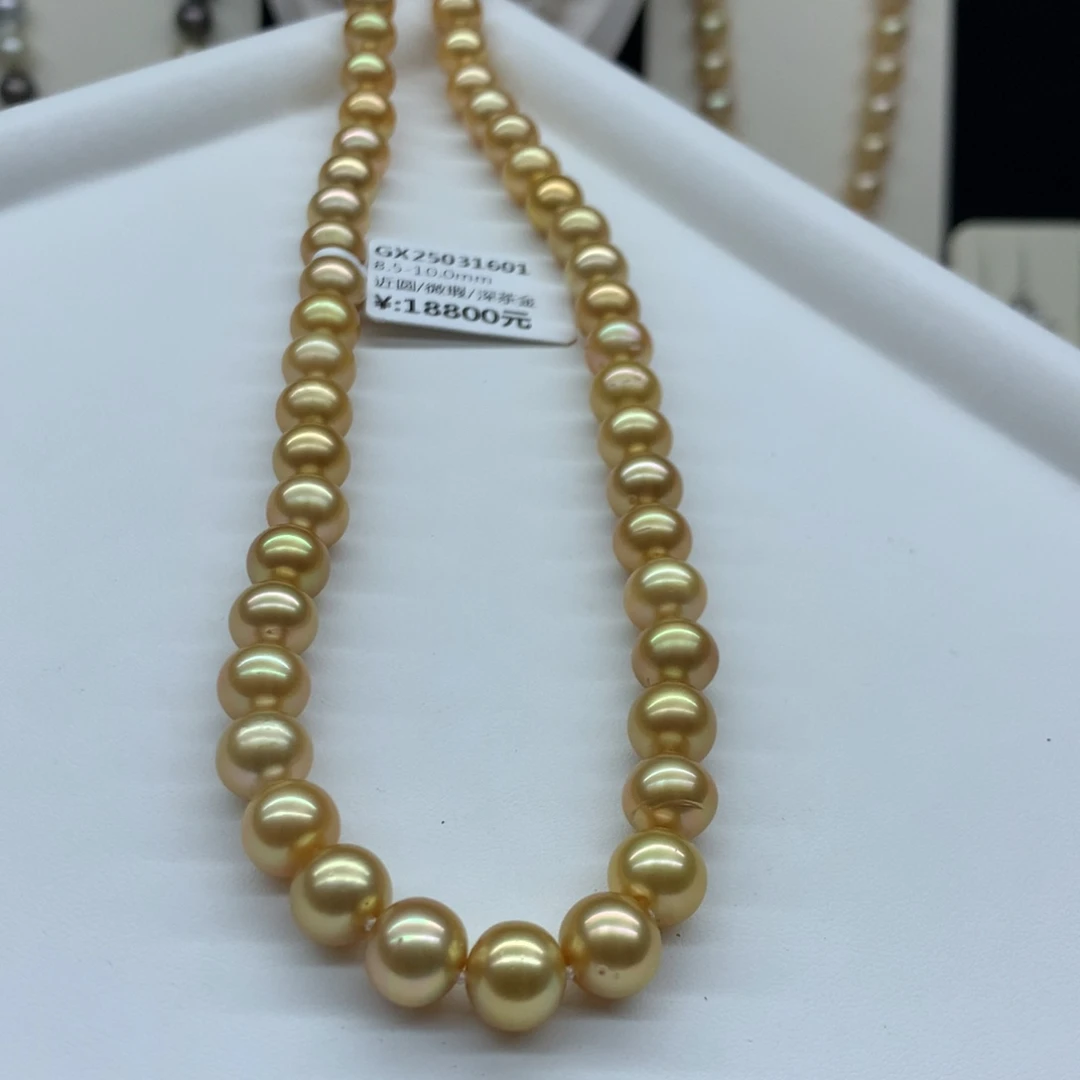 海水珍珠未镶嵌颈饰8.5-10mm金珠项链