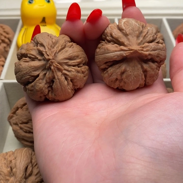 优***饰霸王龙全品无修一刀没动